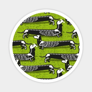 Spooktacular long dachshunds skeleton // pattern // bahia green background skeleton dogs Magnet
